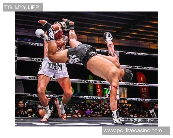 泰拳与中国武术的对决探讨传统与现代的碰撞与融合